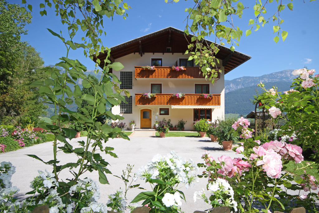 Rosspointnerhof Hotel Haus im Ennstal Eksteriør billede