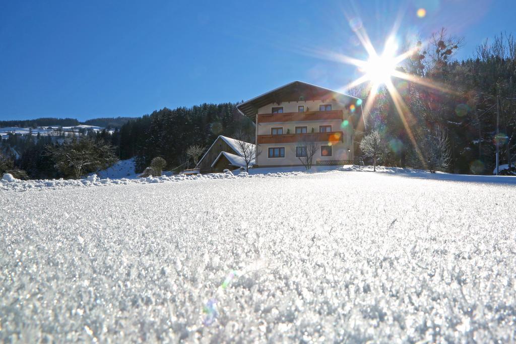 Rosspointnerhof Hotel Haus im Ennstal Eksteriør billede